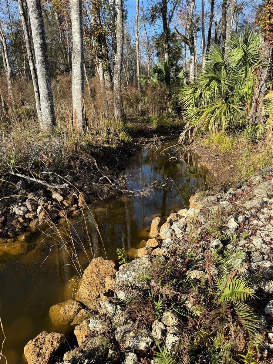 Image 15 of 20 For 00 Clayton Road