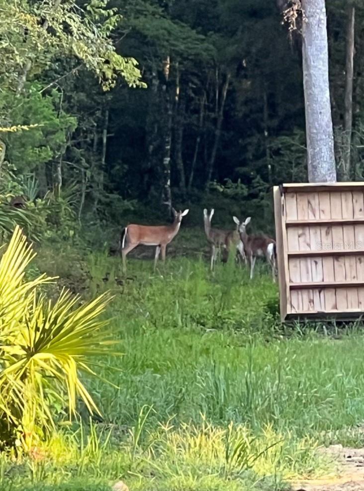 Image 16 of 20 For 00 Clayton Road