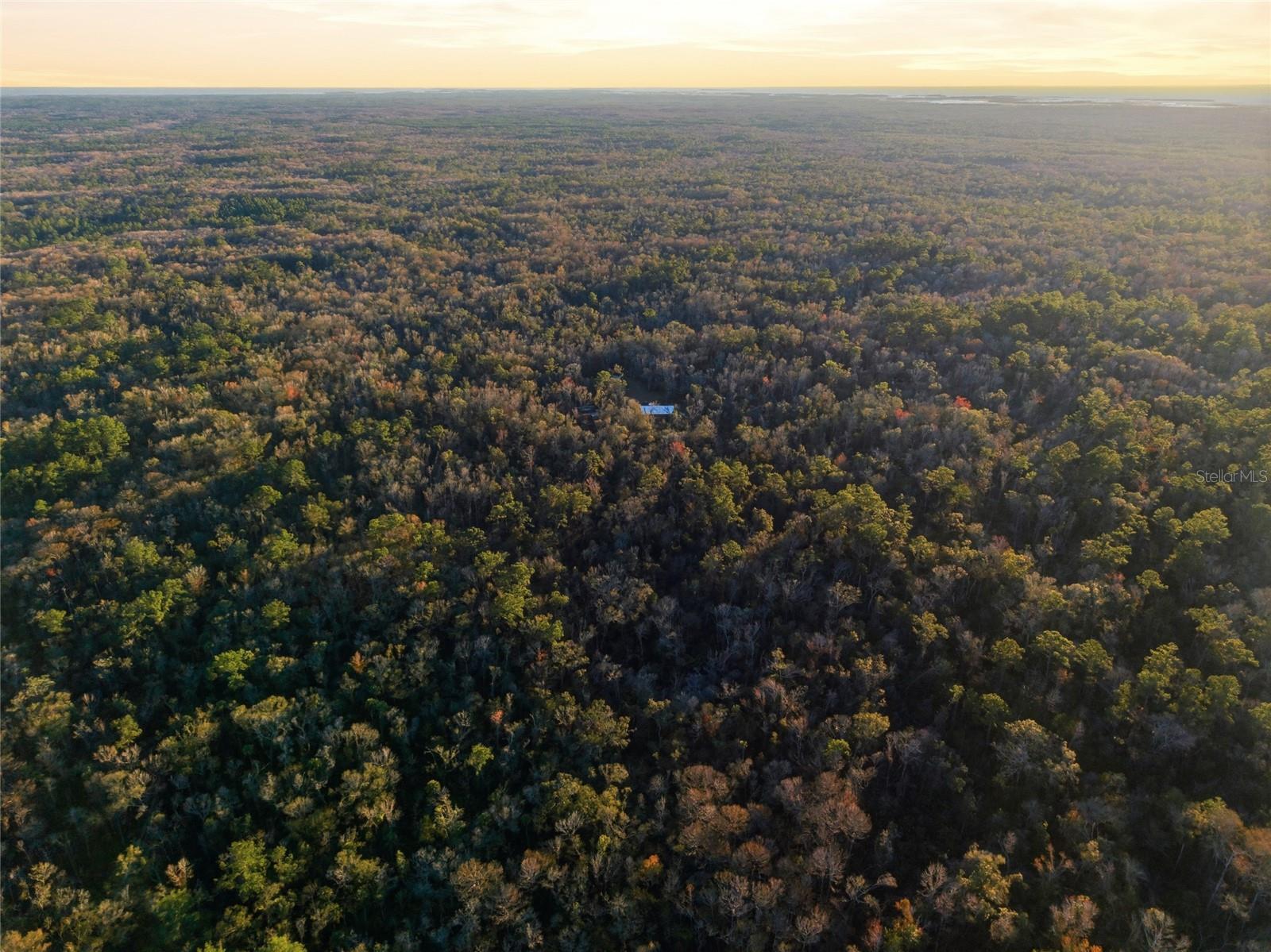 Image 20 of 20 For 00 Clayton Road