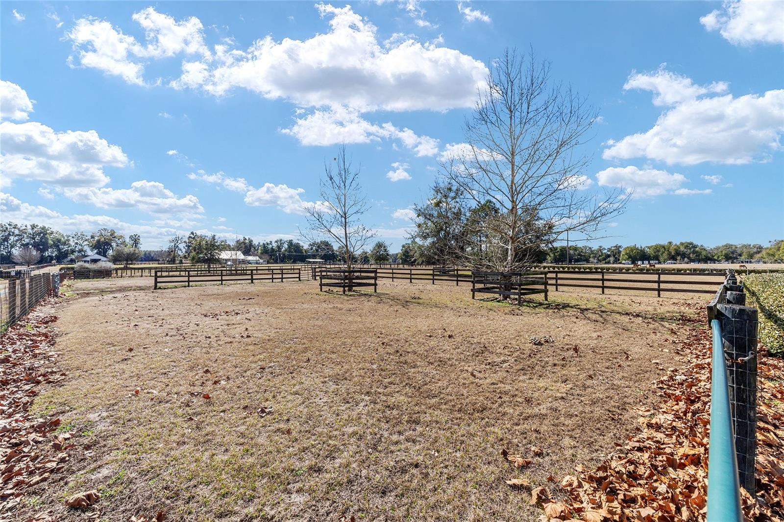 Image 50 of 61 For 1120 Hwy 316 Road