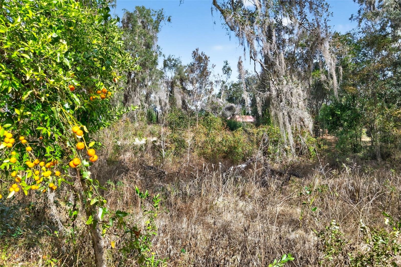 Image 12 of 48 For 8989 Great Oaks Drive