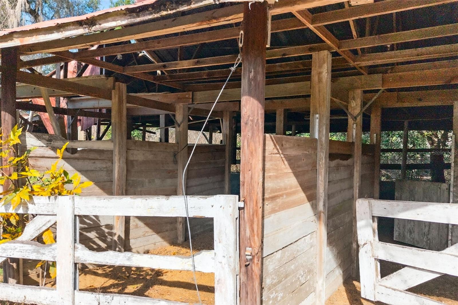 Image 16 of 48 For 8989 Great Oaks Drive