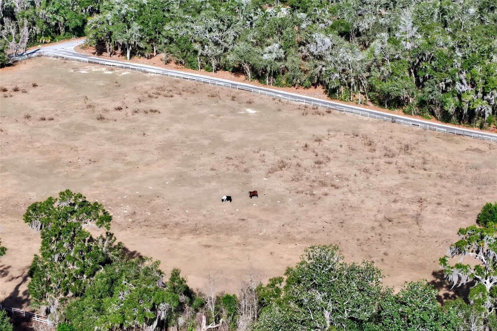 Image 19 of 48 For 8989 Great Oaks Drive