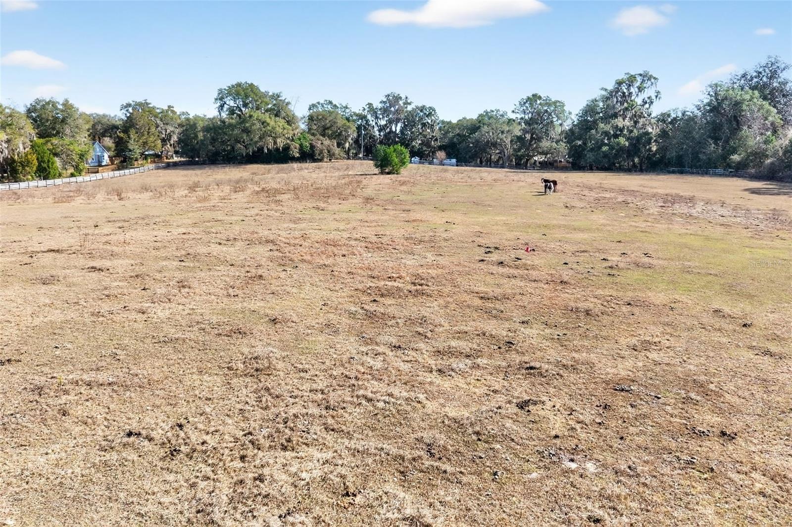 Image 23 of 48 For 8989 Great Oaks Drive