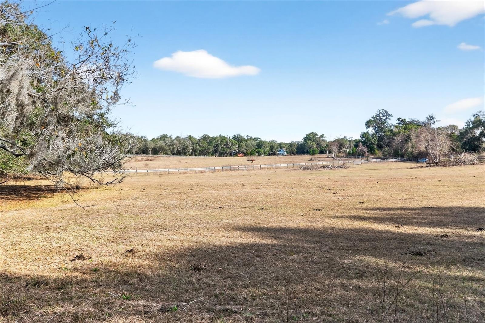 Image 25 of 48 For 8989 Great Oaks Drive