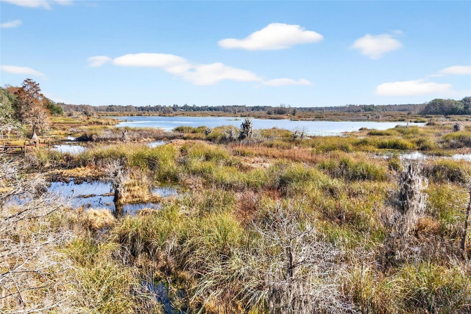 Image 27 of 48 For 8989 Great Oaks Drive