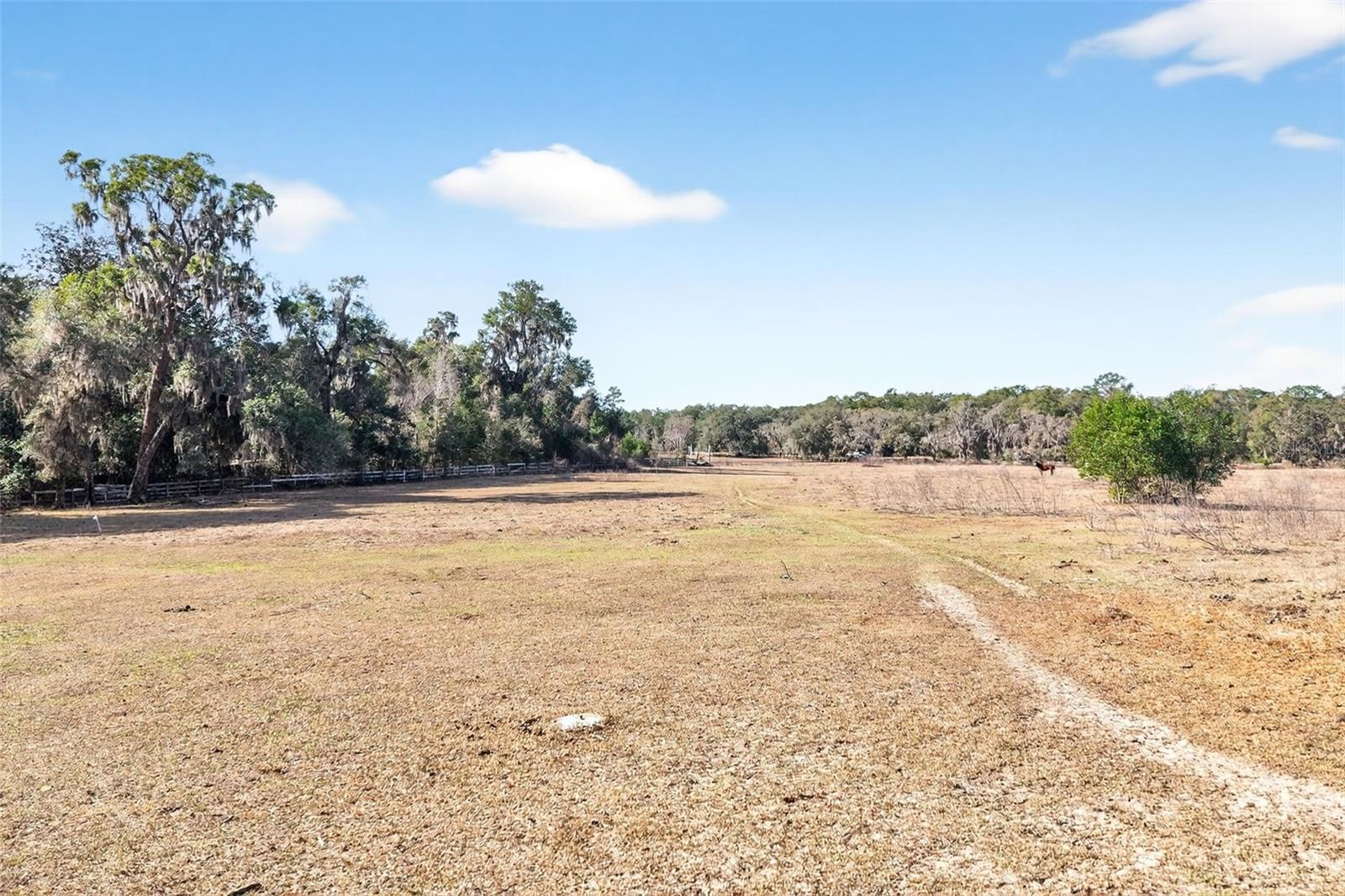 Image 28 of 48 For 8989 Great Oaks Drive