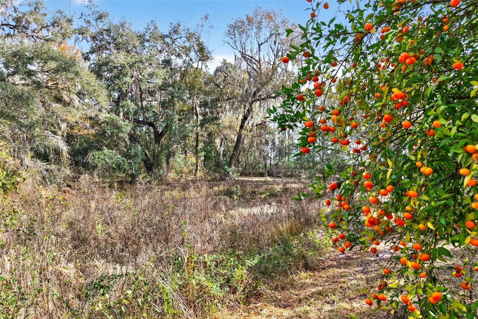 Image 29 of 48 For 8989 Great Oaks Drive