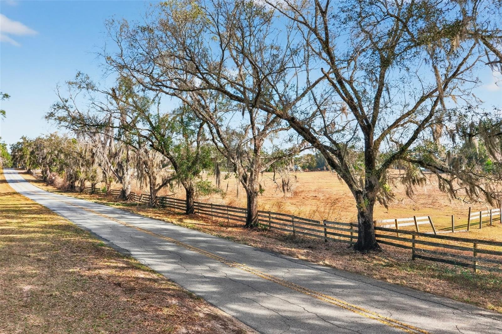 Image 3 of 48 For 8989 Great Oaks Drive
