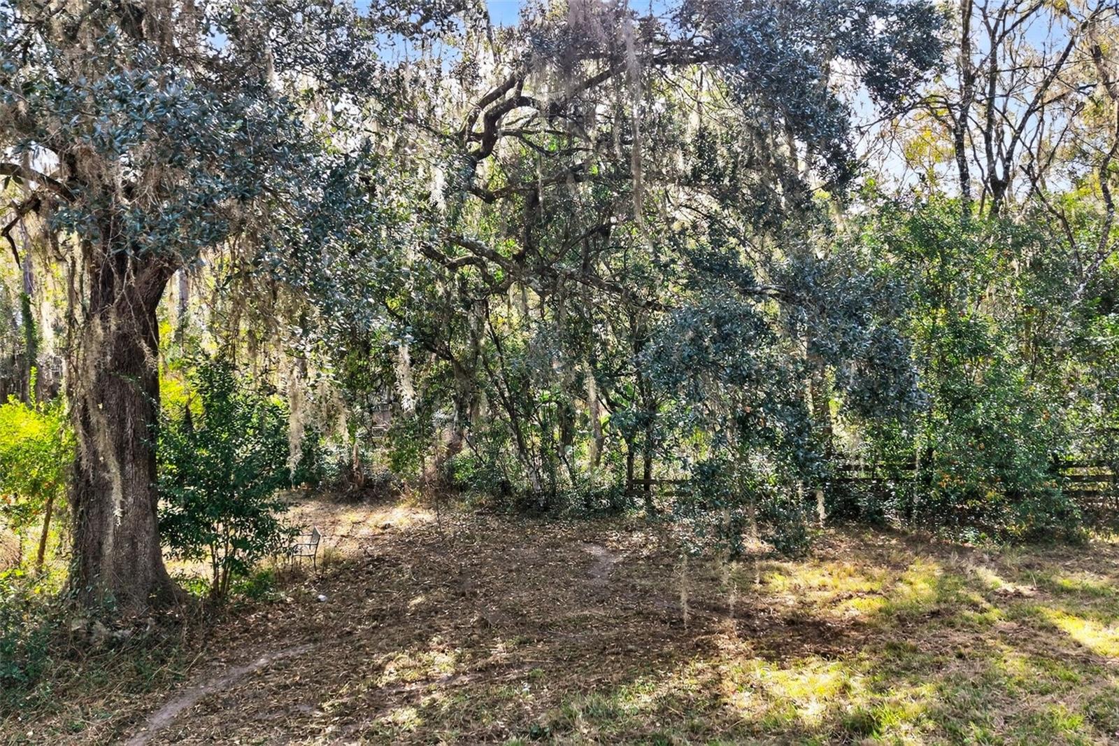 Image 31 of 48 For 8989 Great Oaks Drive