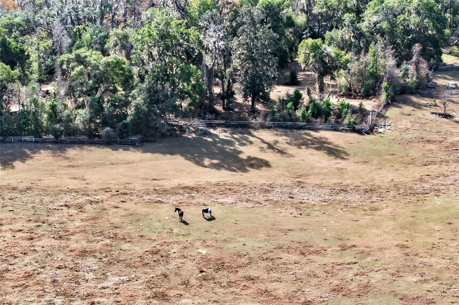 Image 32 of 48 For 8989 Great Oaks Drive