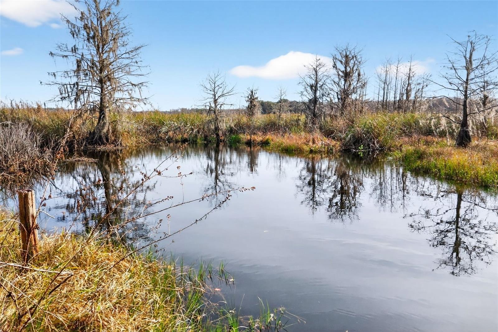 Image 4 of 48 For 8989 Great Oaks Drive