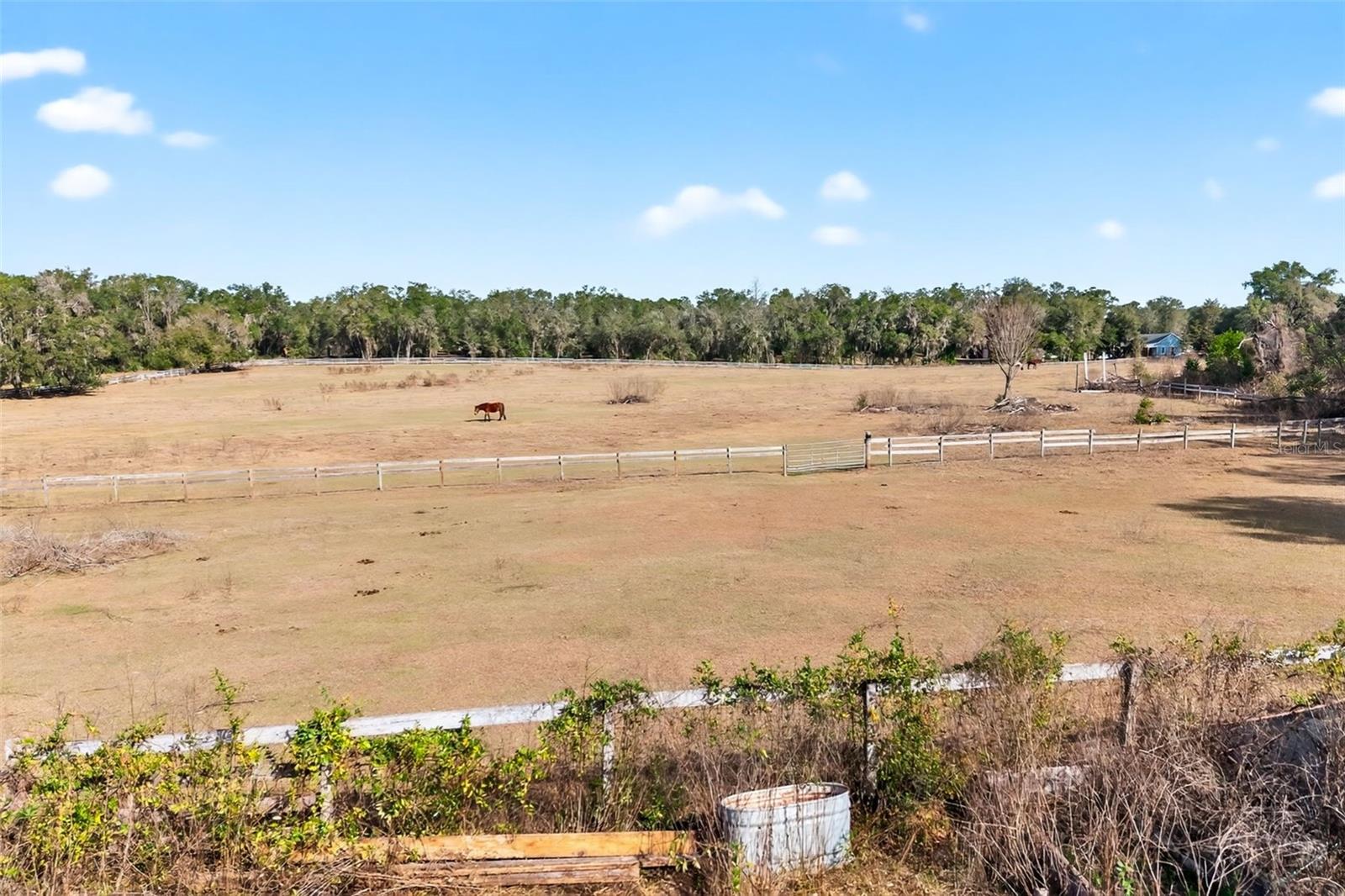 Image 48 of 48 For 8989 Great Oaks Drive