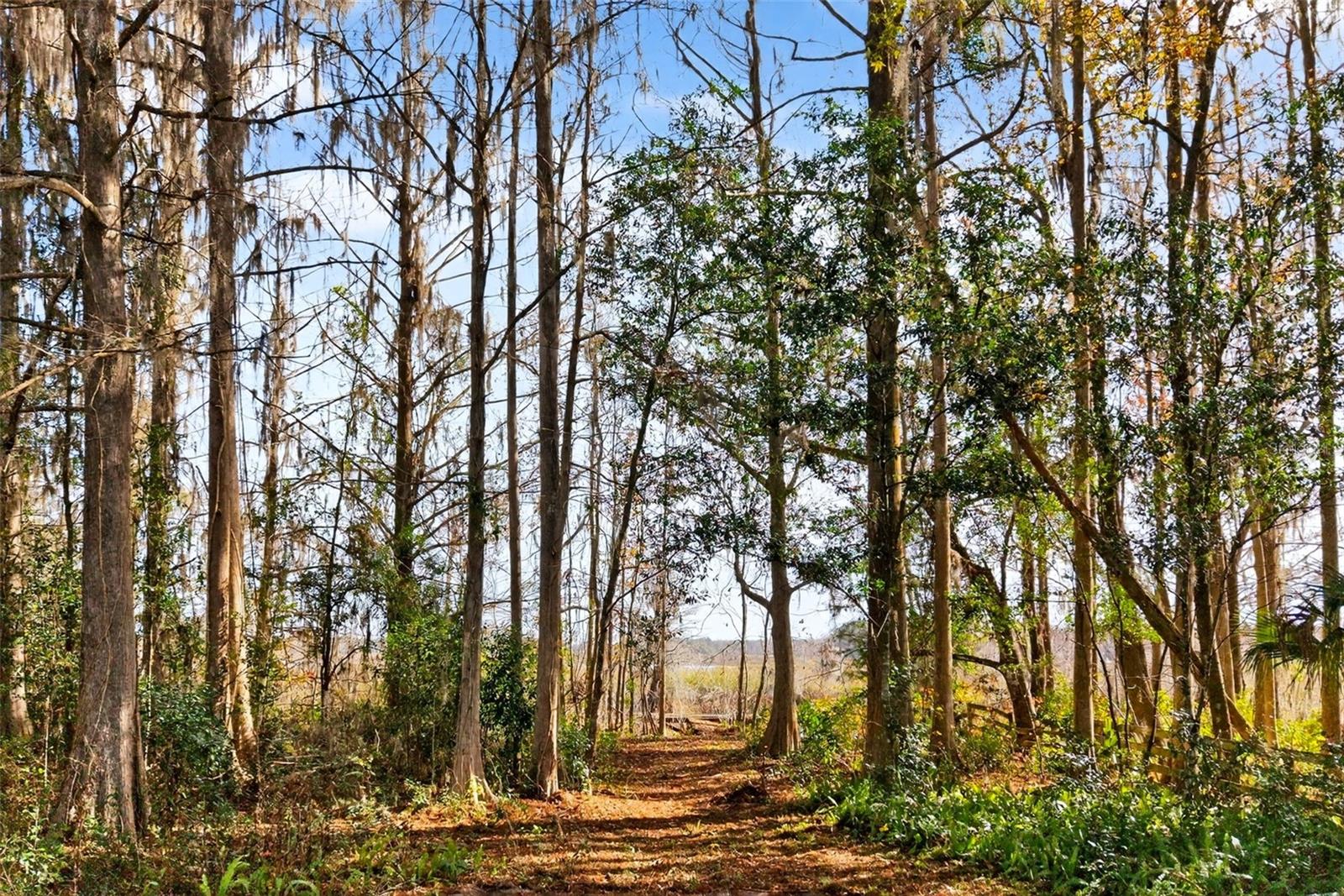 Image 6 of 48 For 8989 Great Oaks Drive