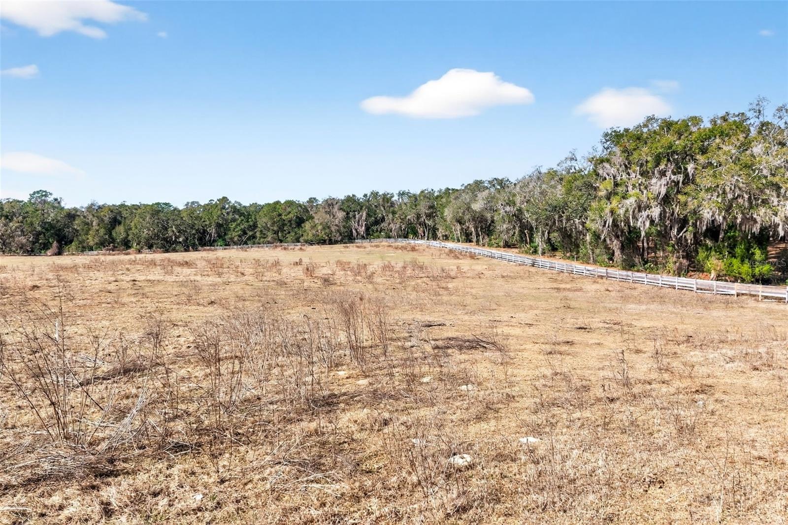 Image 7 of 48 For 8989 Great Oaks Drive