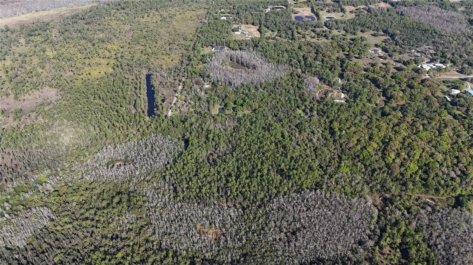 Image 10 of 41 For  N-a  