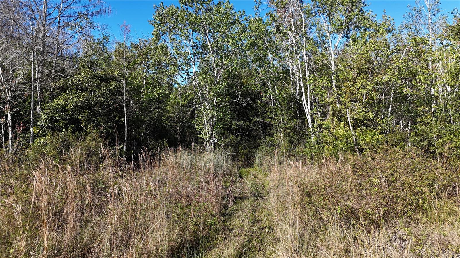 Image 2 of 41 For  N-a  