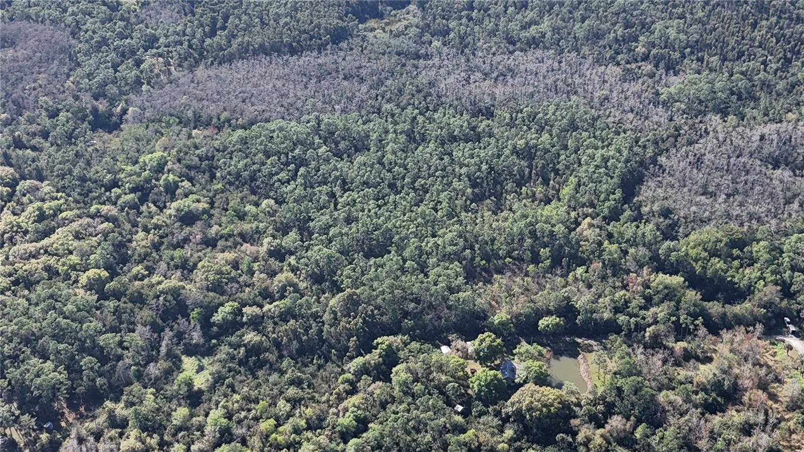 Image 22 of 41 For  N-a  