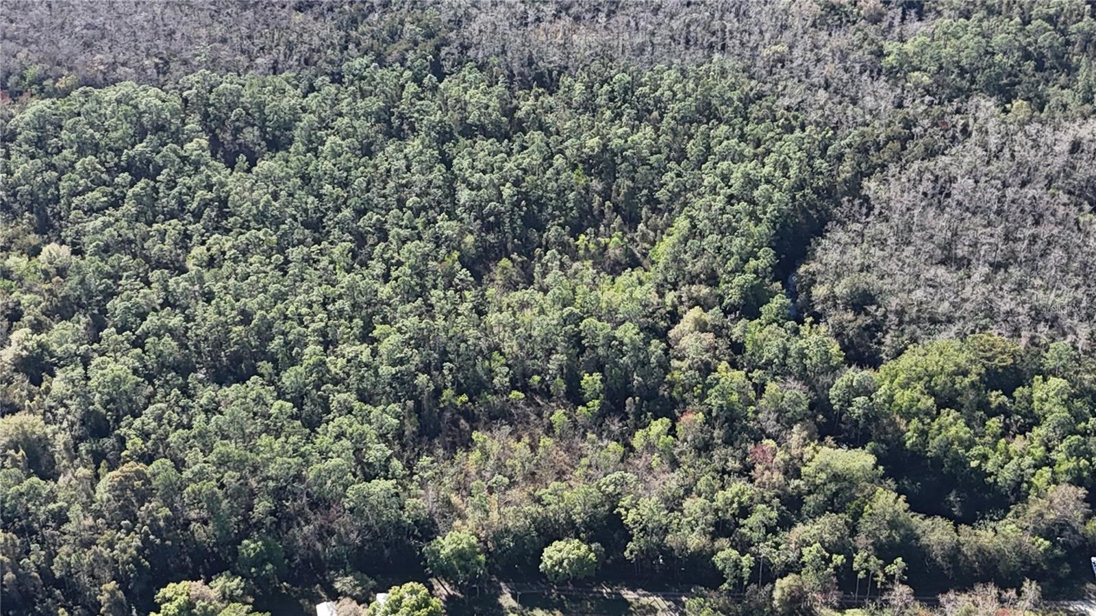 Image 23 of 41 For  N-a  