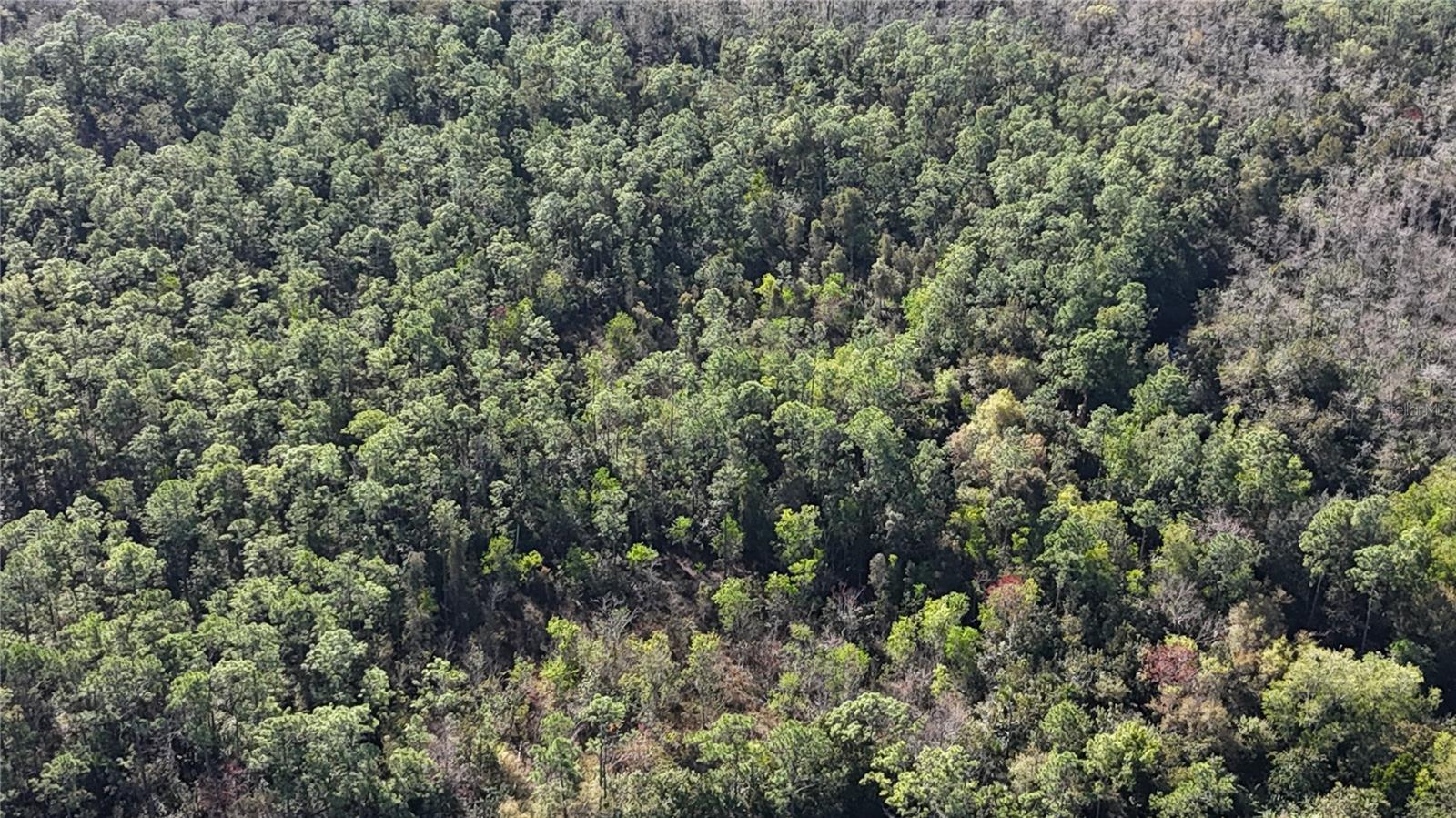 Image 24 of 41 For  N-a  