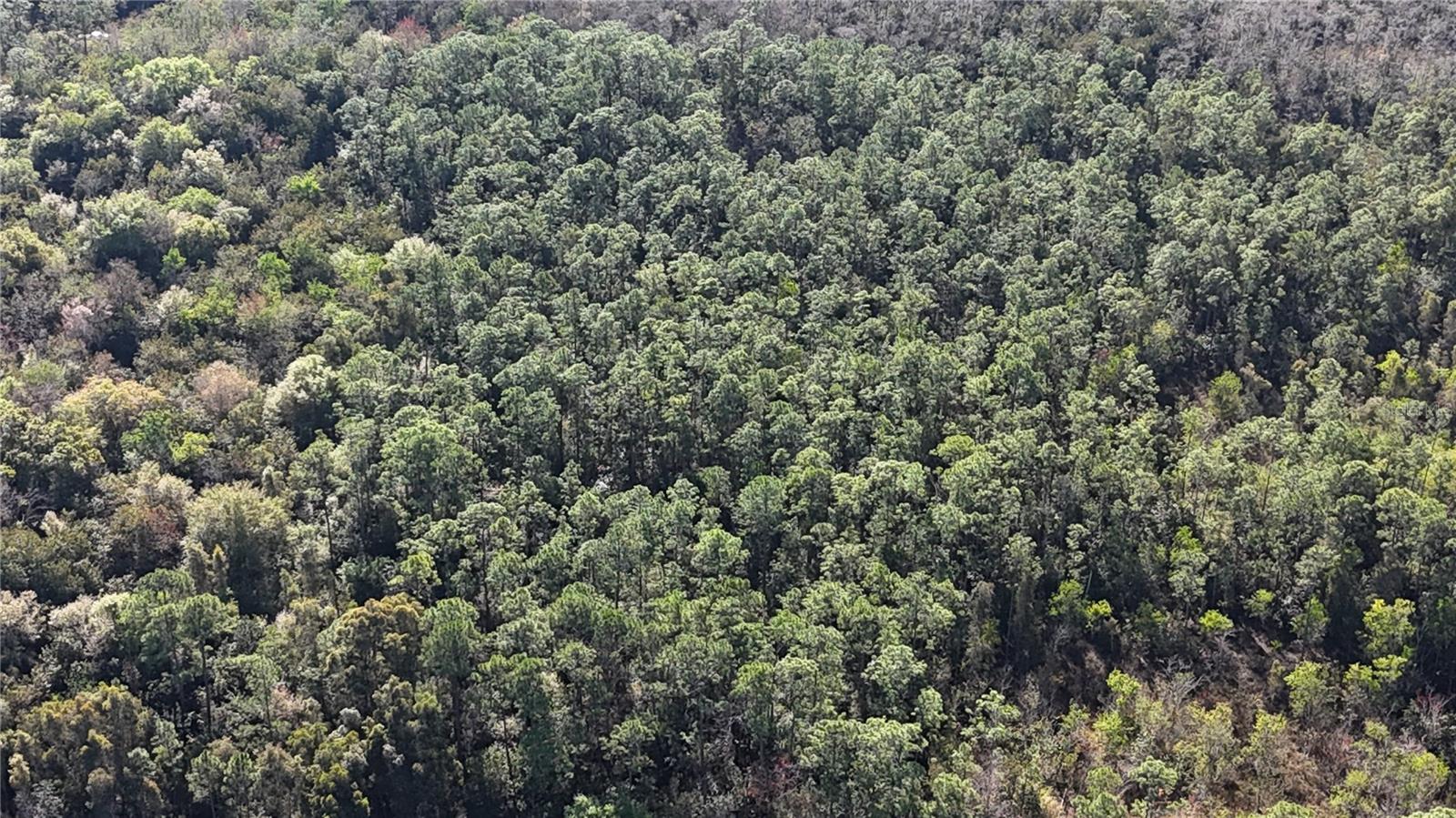 Image 25 of 41 For  N-a  