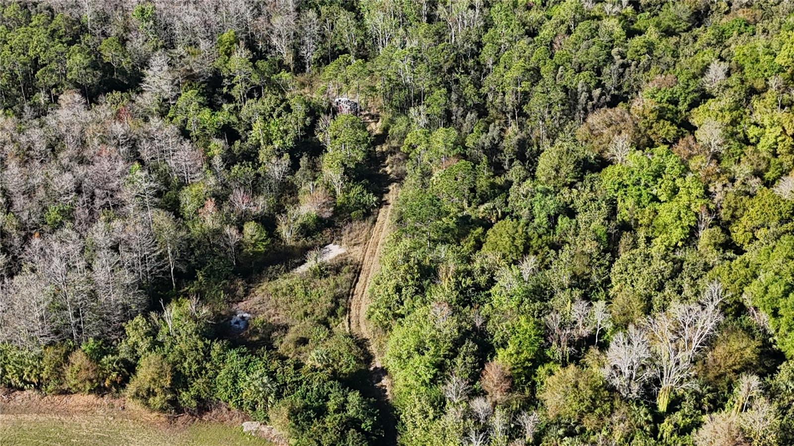 Image 26 of 41 For  N-a  