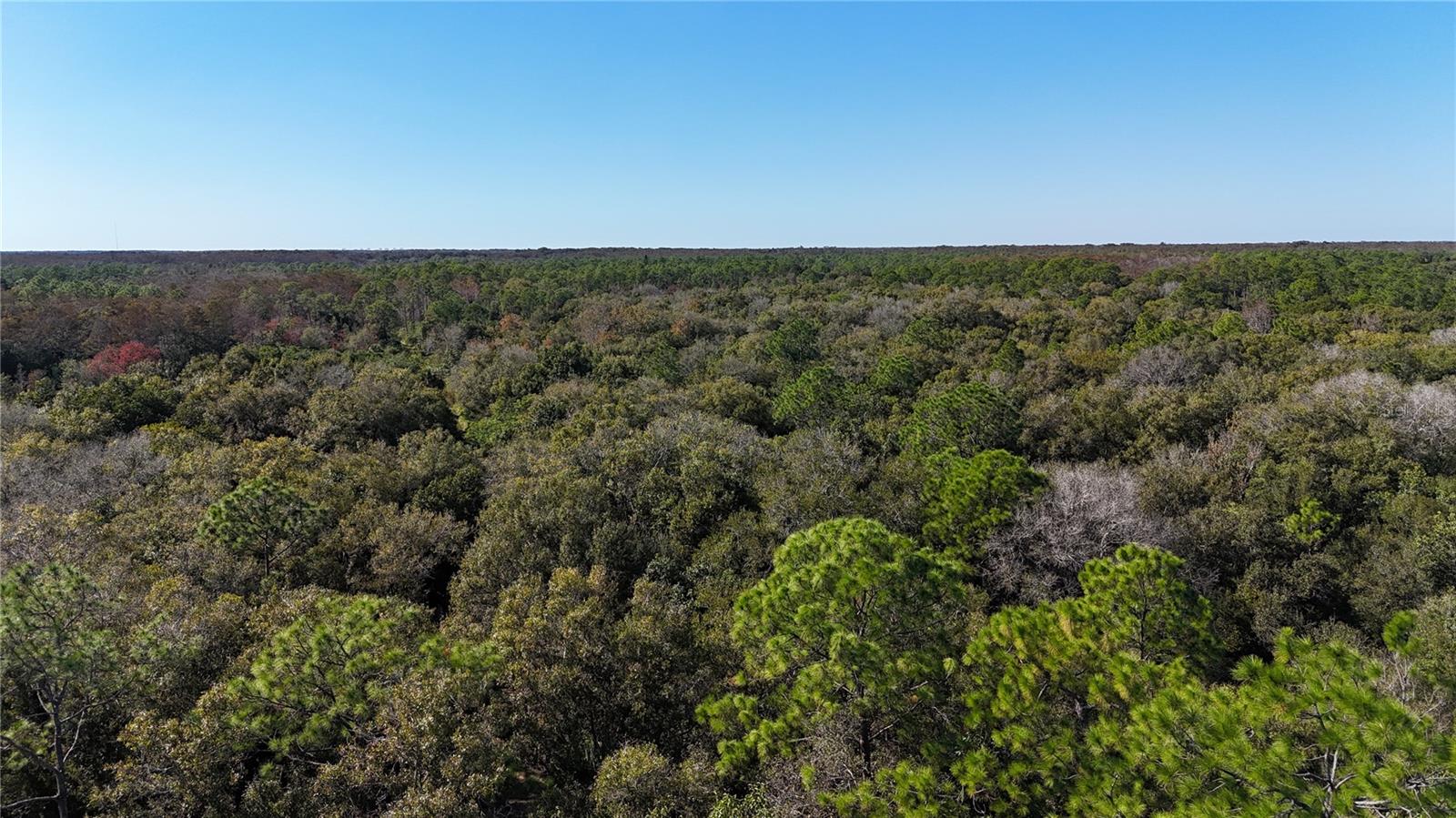 Image 27 of 41 For  N-a  