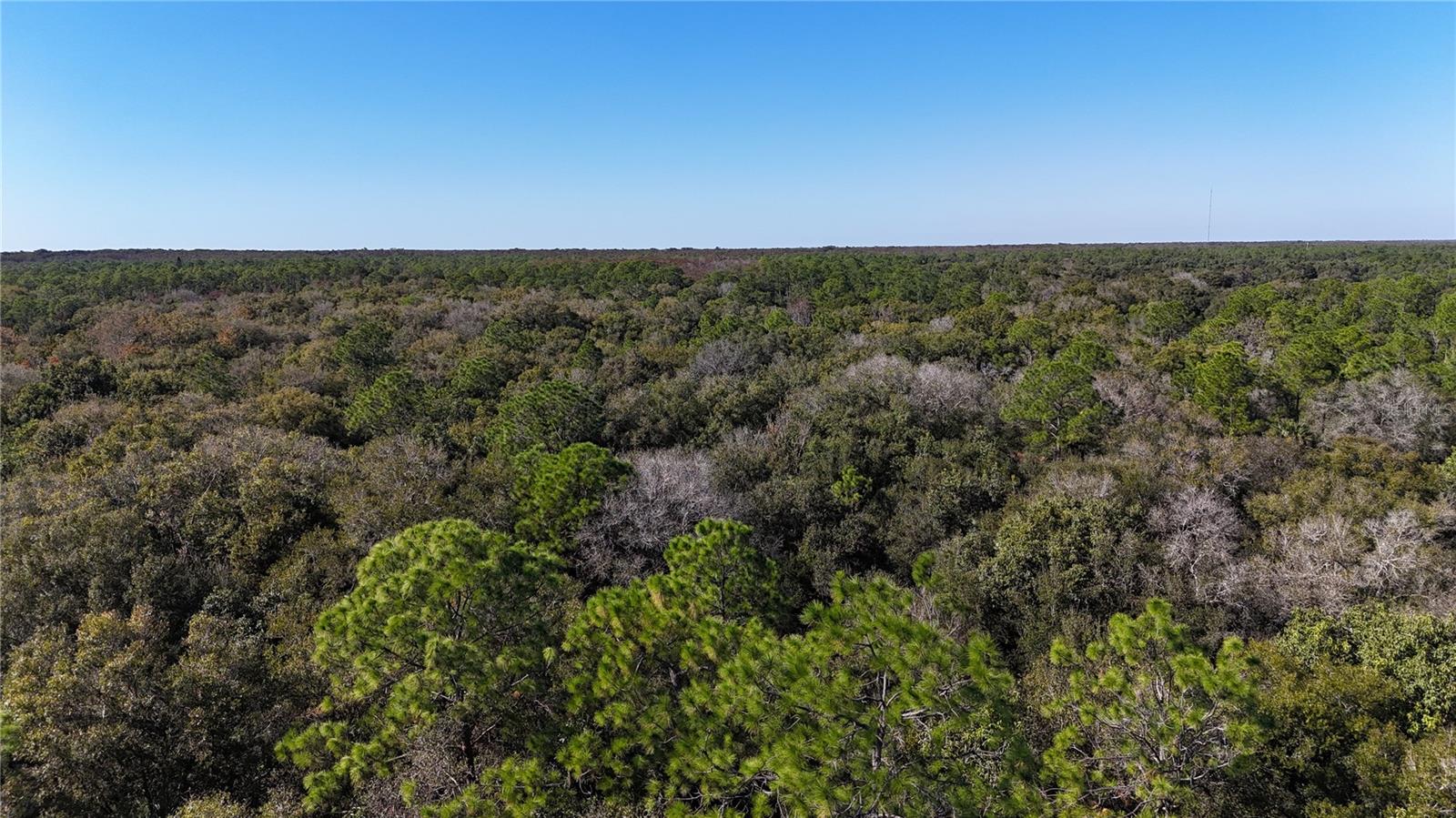 Image 28 of 41 For  N-a  