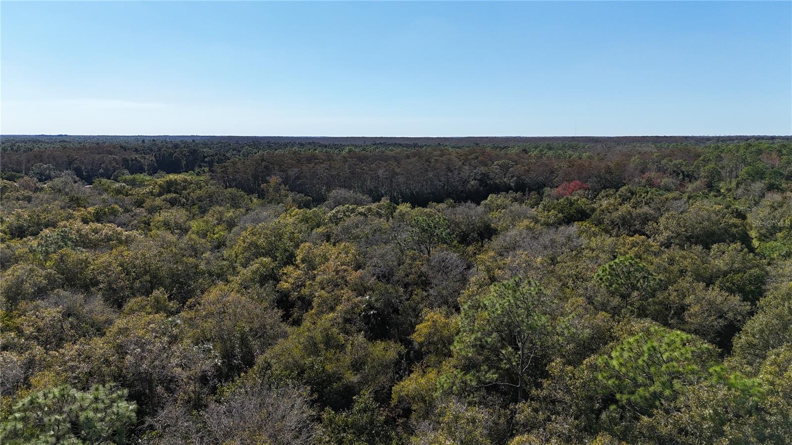 Image 29 of 41 For  N-a  