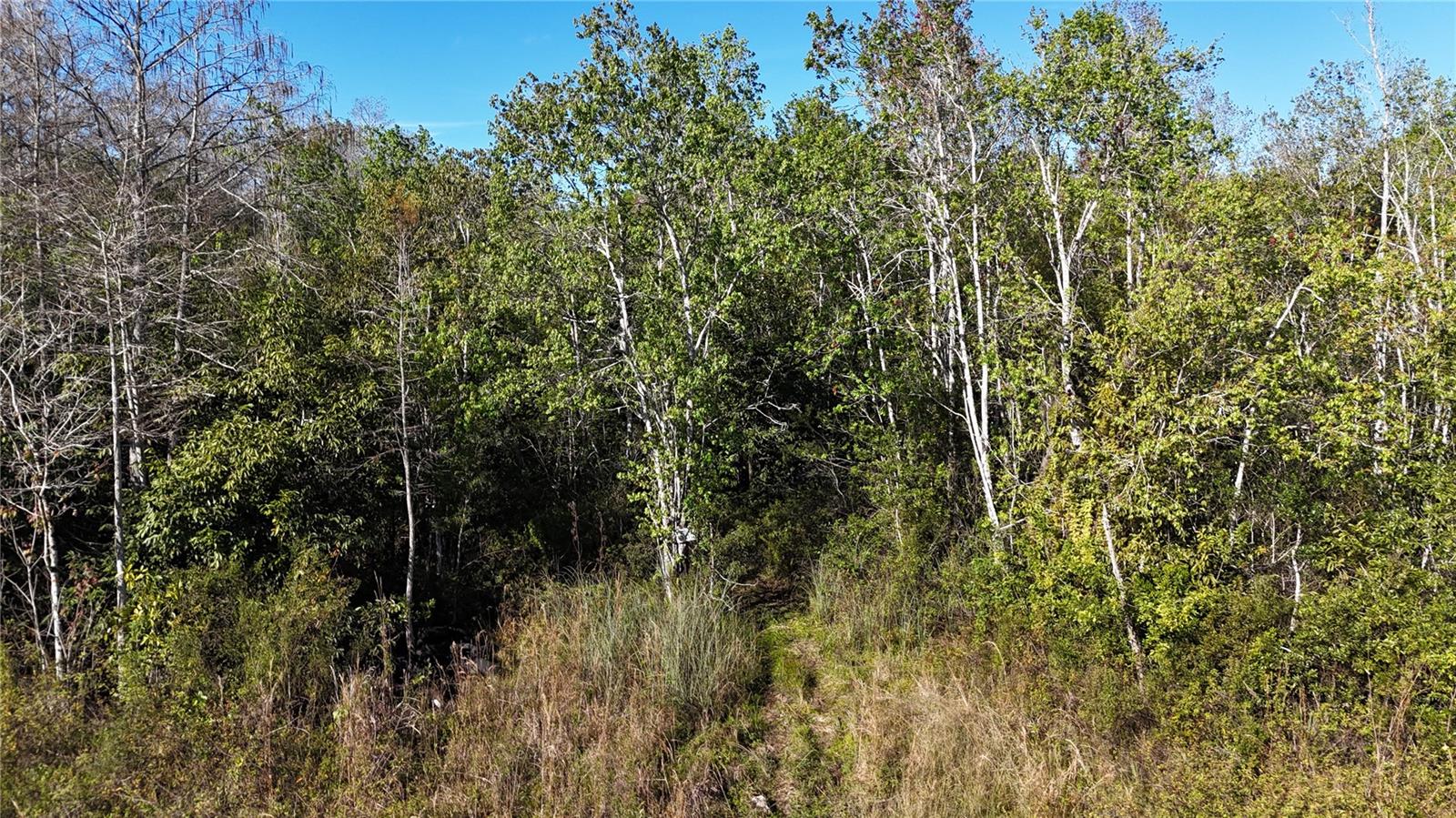 Image 3 of 41 For  N-a  