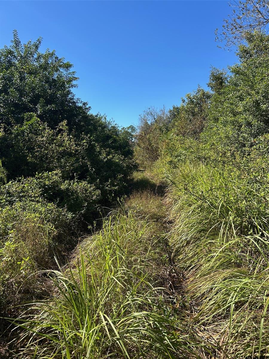 Image 30 of 41 For  N-a  