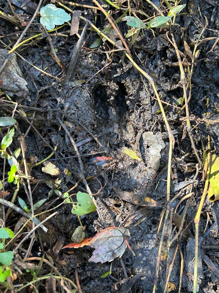 Image 31 of 41 For  N-a  