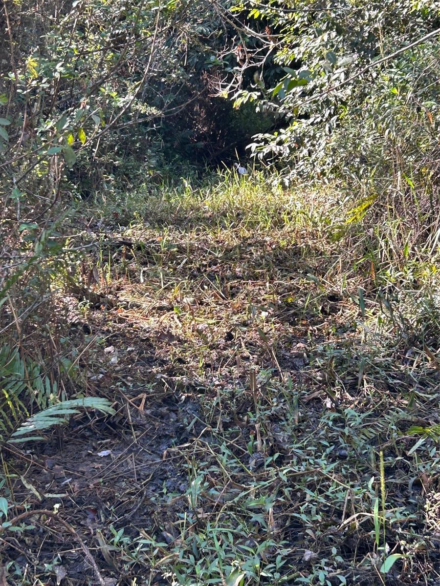 Image 32 of 41 For  N-a  