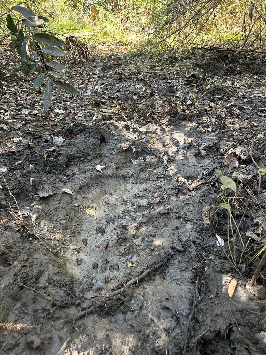 Image 33 of 41 For  N-a  