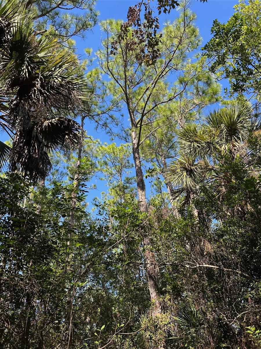 Image 35 of 41 For  N-a  