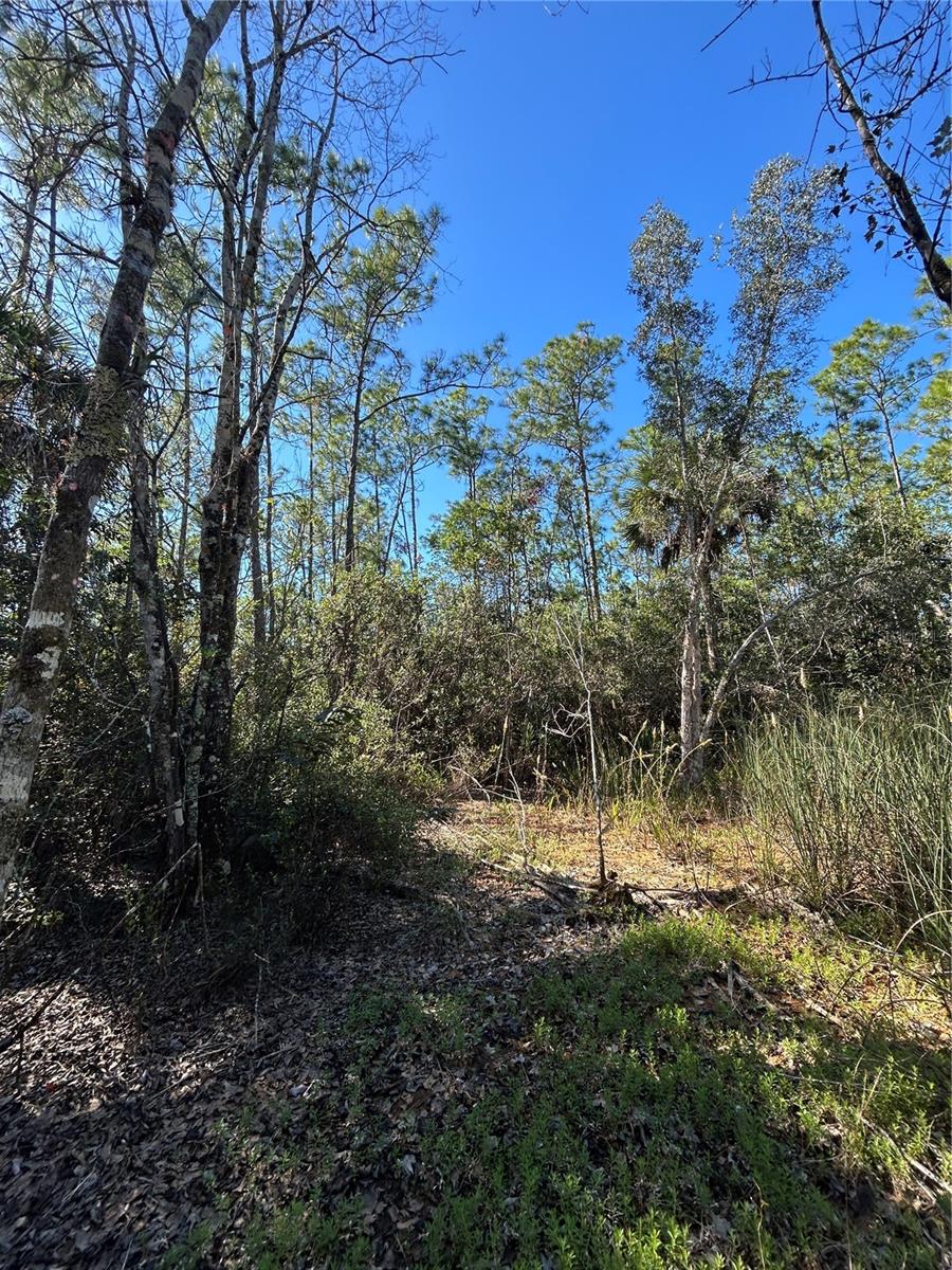 Image 37 of 41 For  N-a  