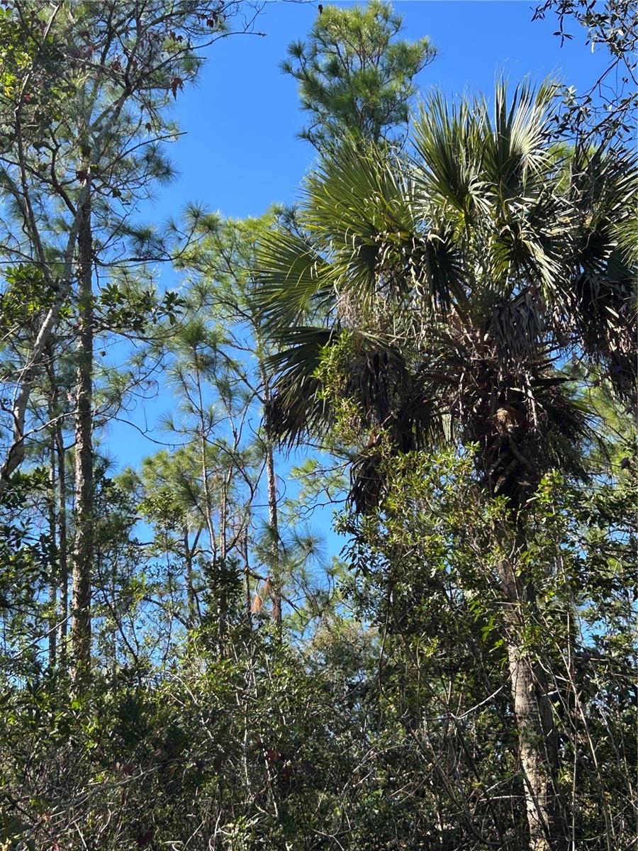 Image 38 of 41 For  N-a  