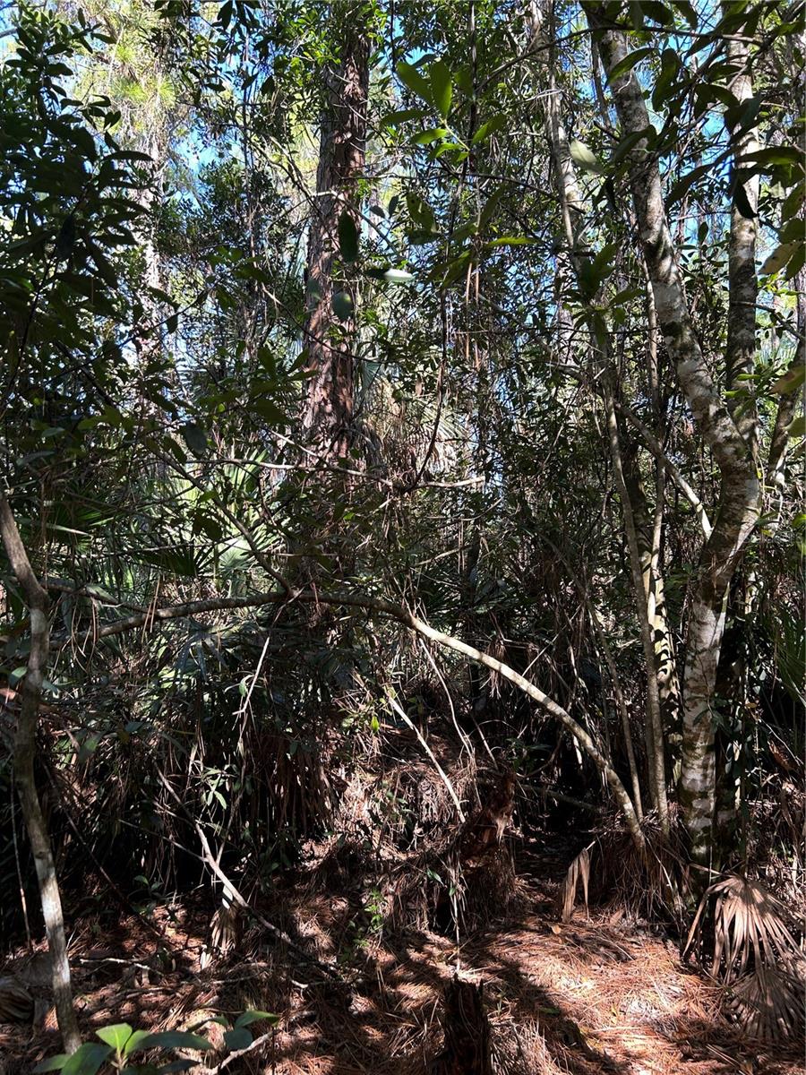 Image 39 of 41 For  N-a  