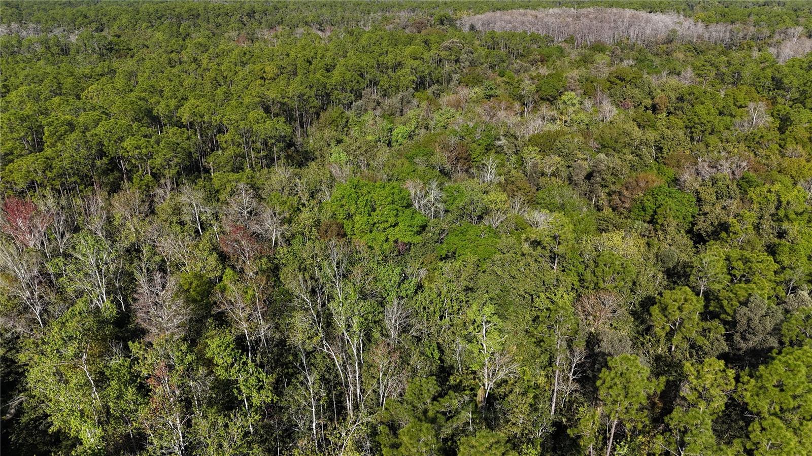 Image 4 of 41 For  N-a  