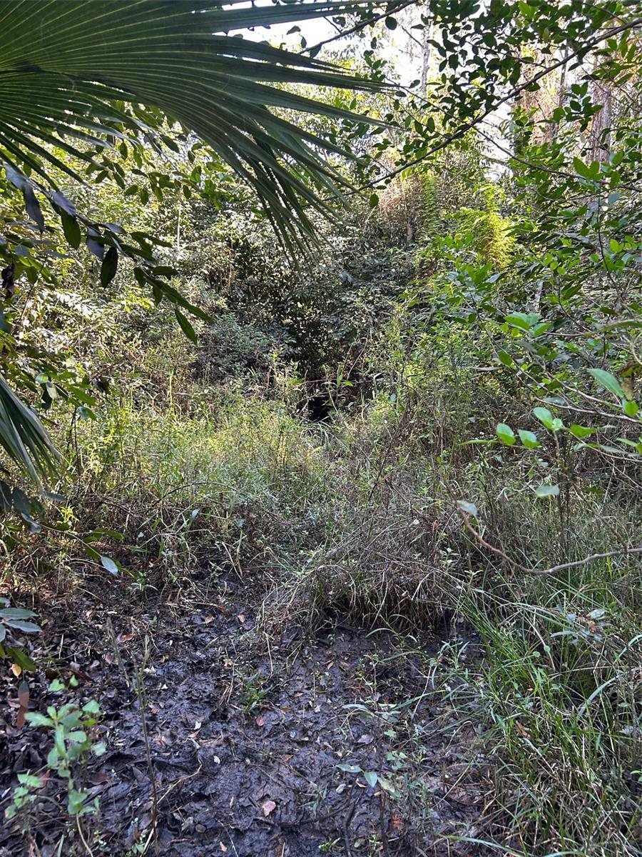 Image 40 of 41 For  N-a  