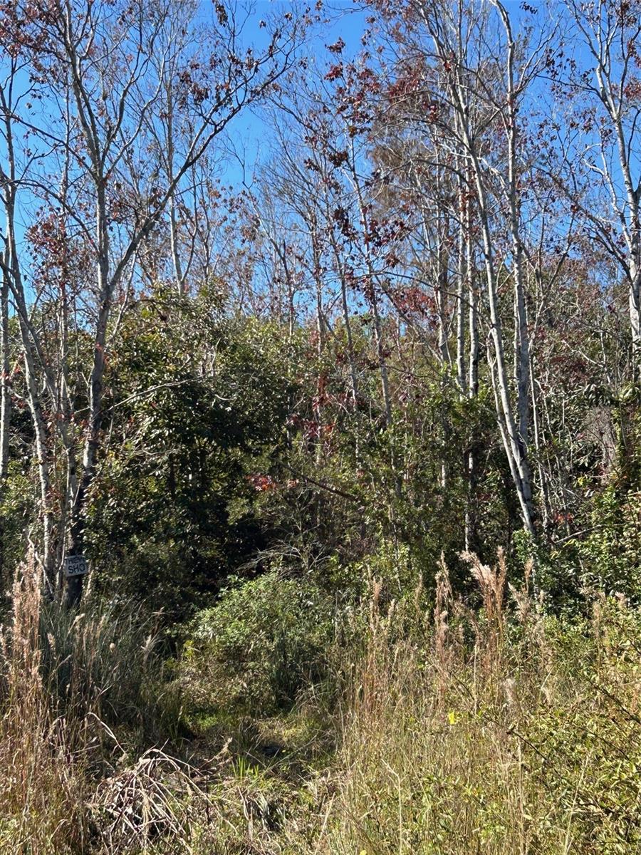 Image 41 of 41 For  N-a  