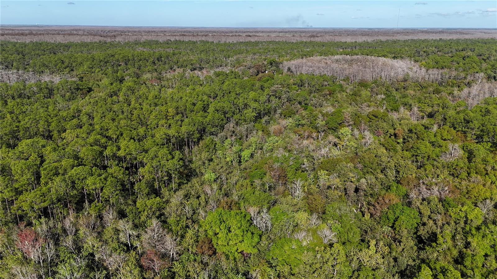 Image 5 of 41 For  N-a  