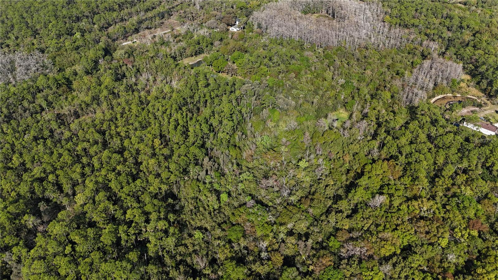 Image 6 of 41 For  N-a  