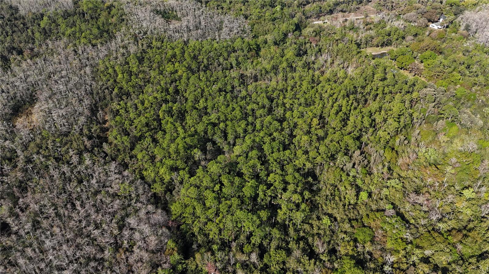 Image 7 of 41 For  N-a  