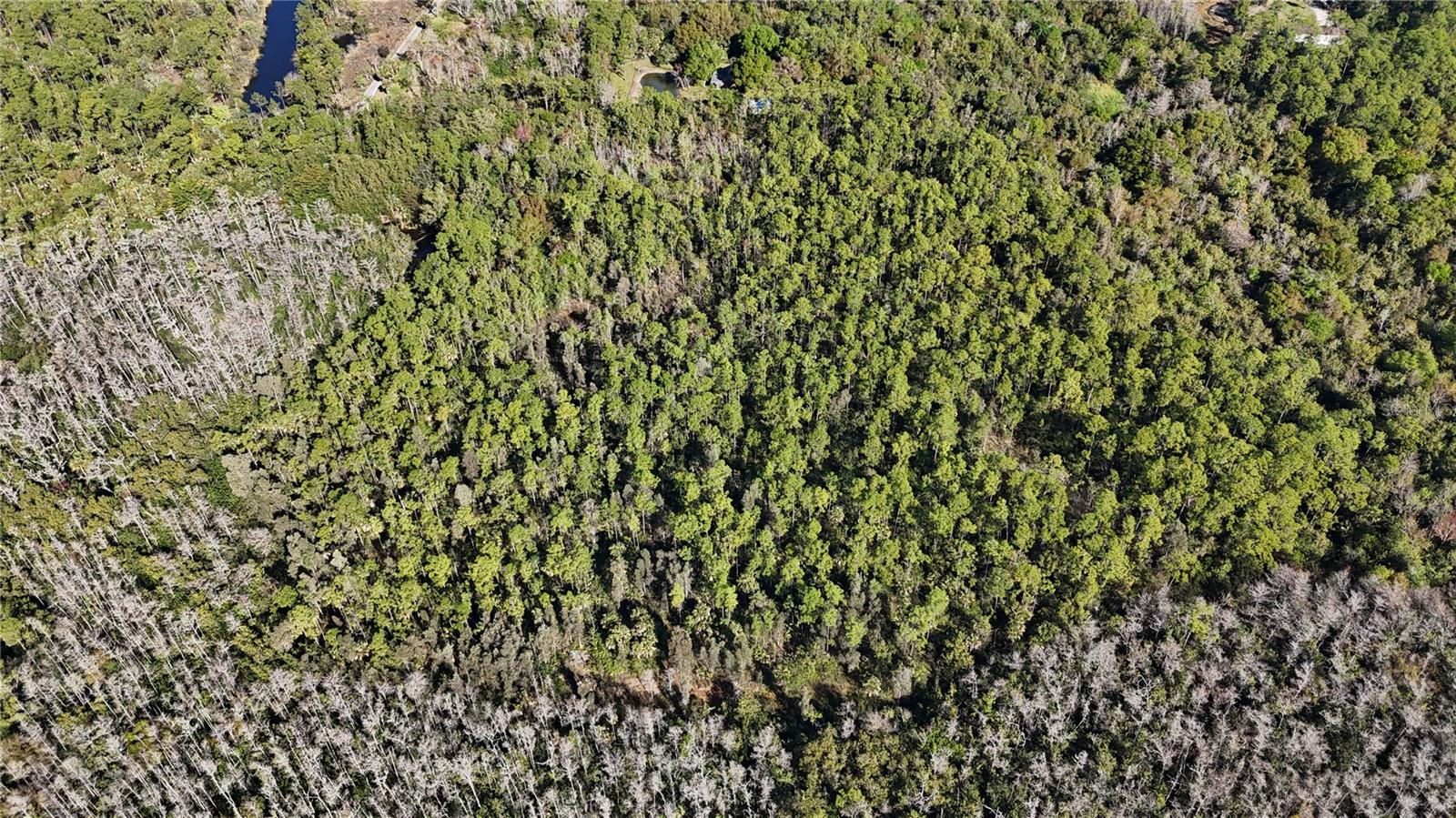 Image 8 of 41 For  N-a  