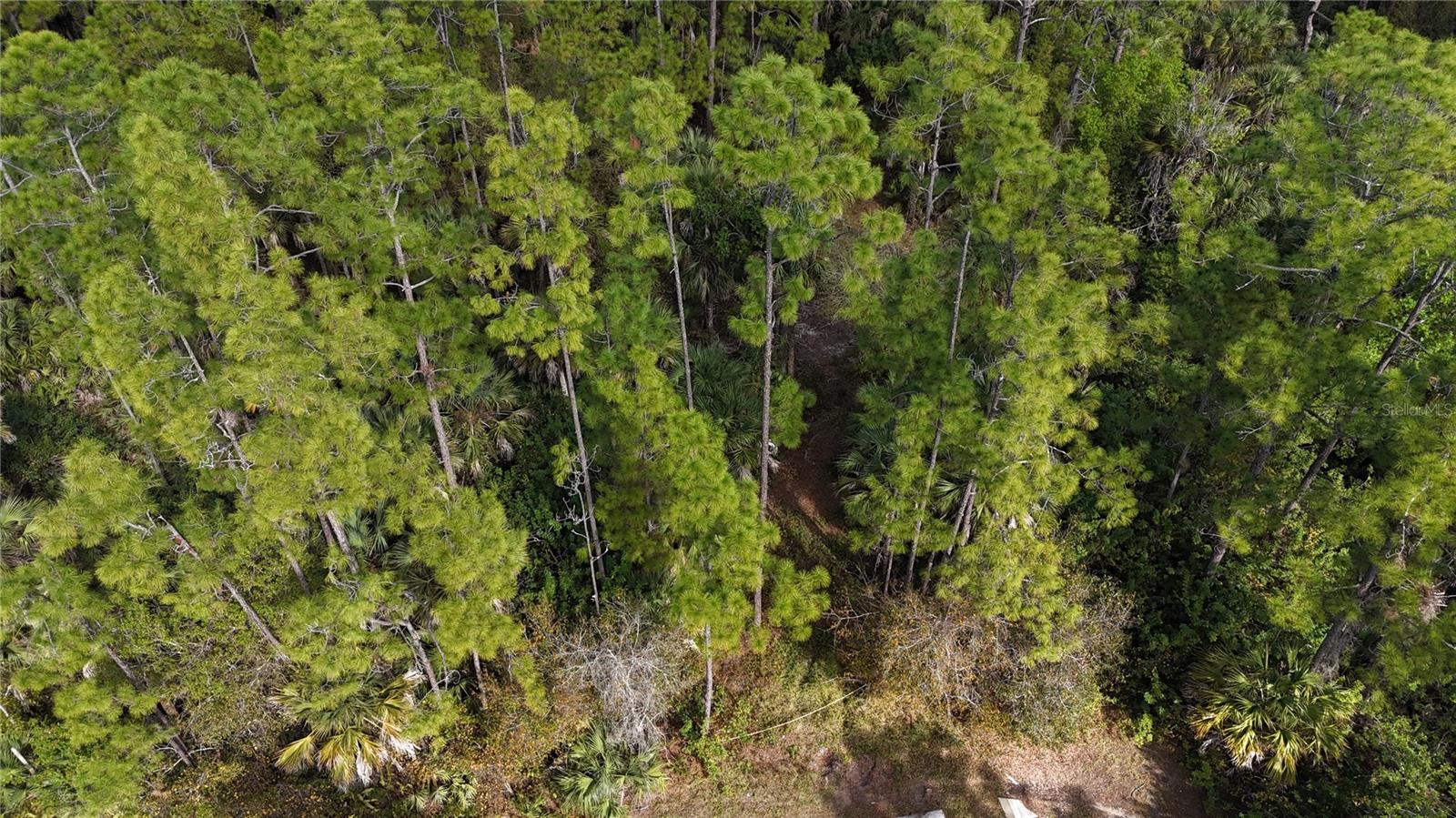 Image 10 of 22 For  16th Ave Se  