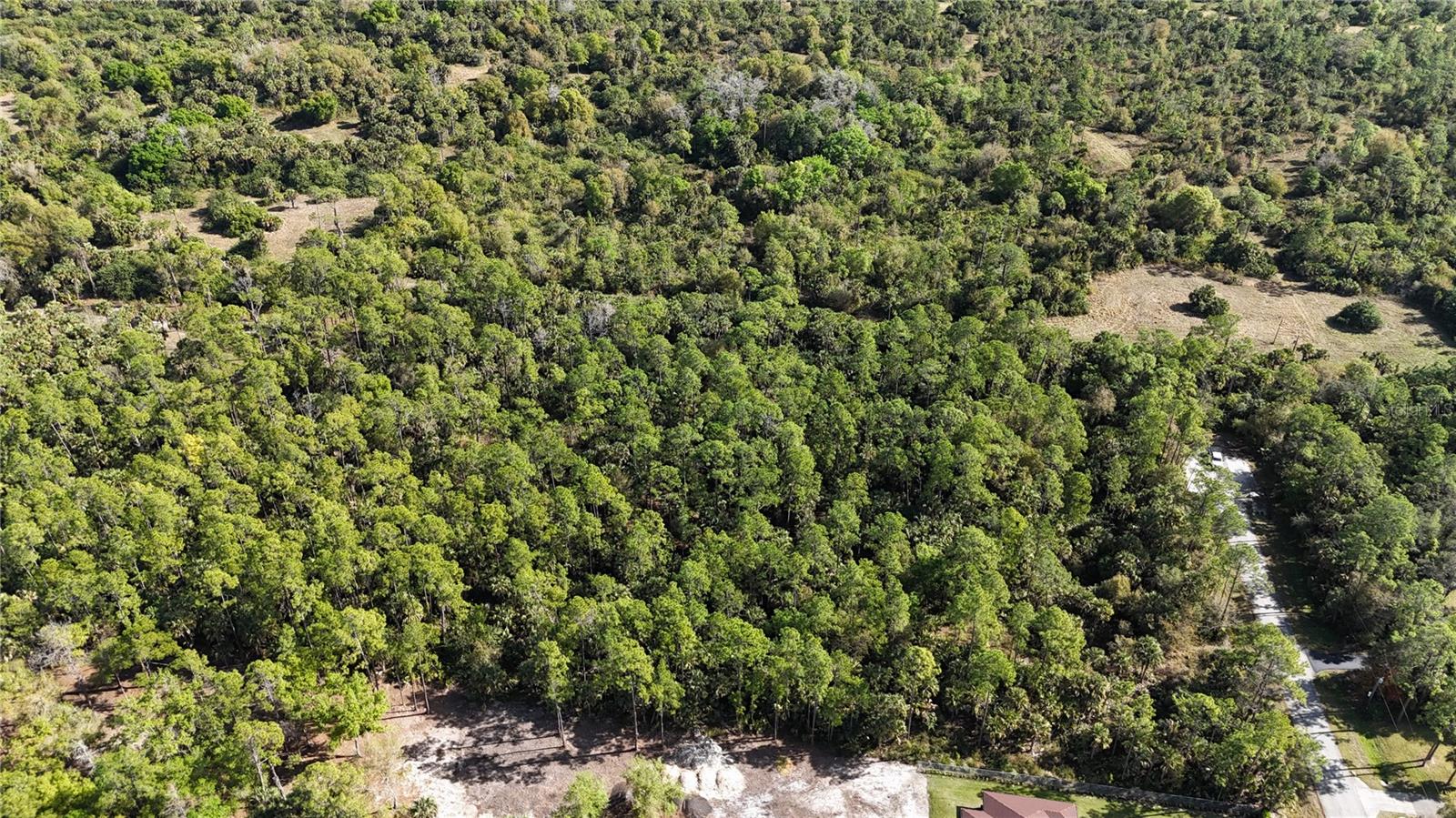 Image 19 of 22 For  16th Ave Se  