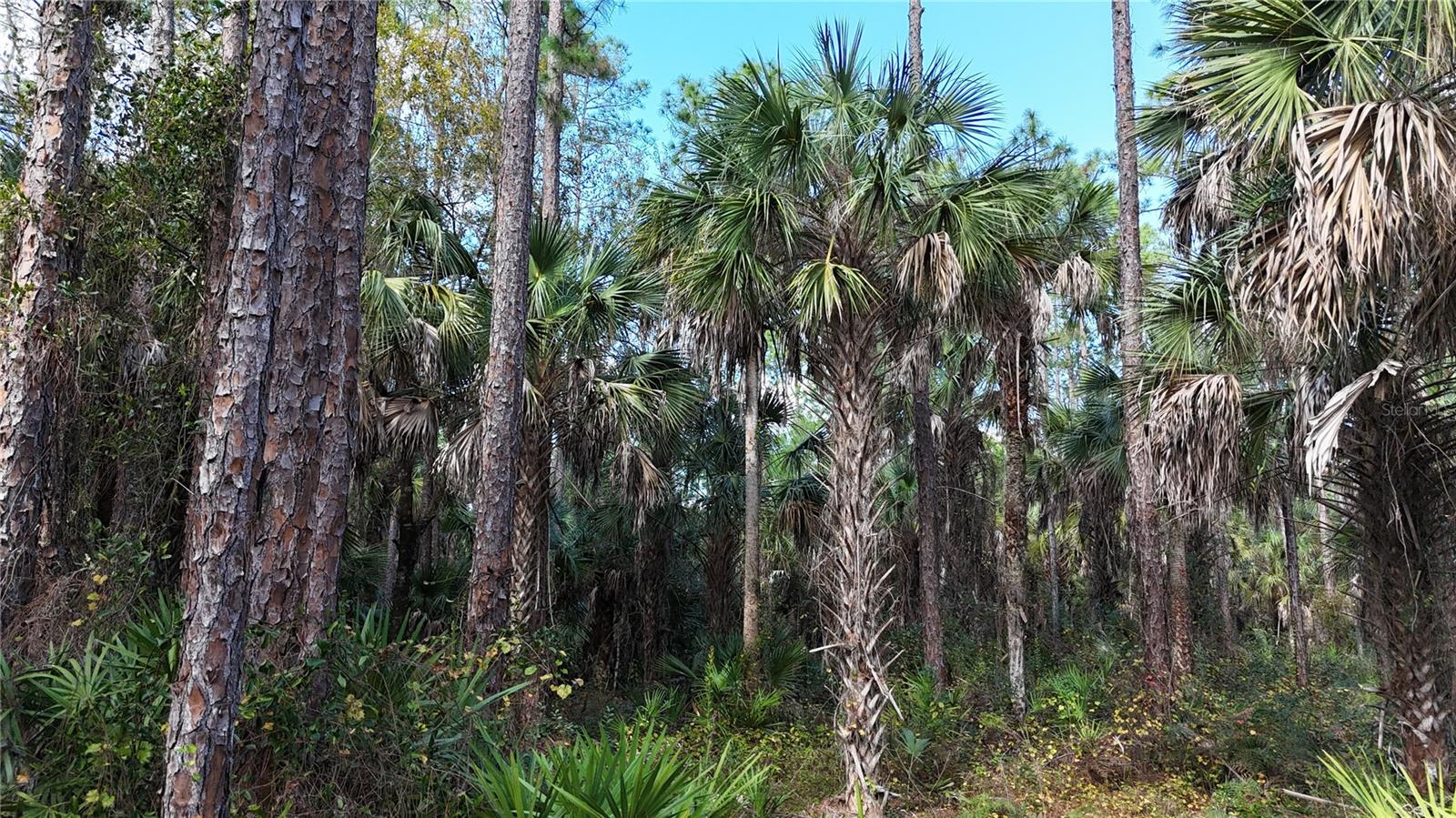 Image 2 of 22 For  16th Ave Se  