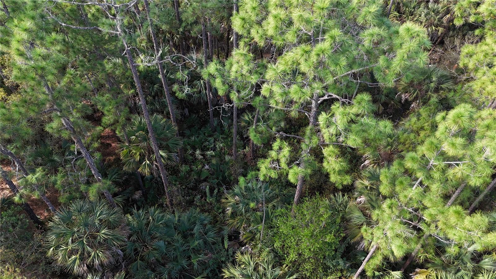 Image 21 of 22 For  16th Ave Se  