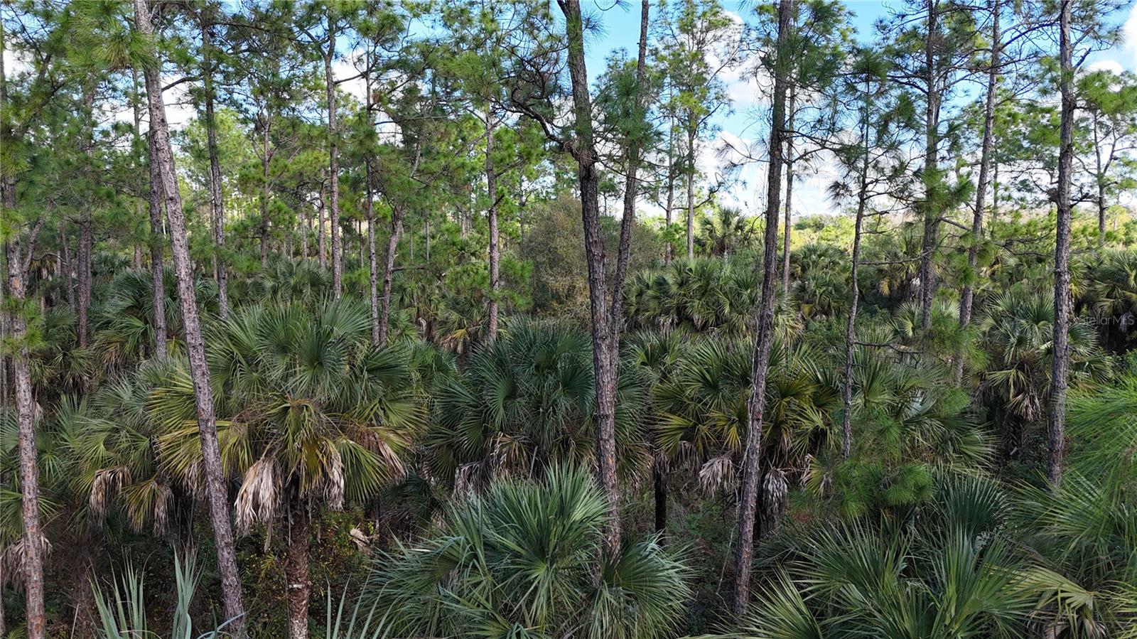 Image 3 of 22 For  16th Ave Se  